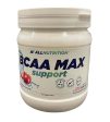 Allnutrition BCAA Max Support, Apple - 500 grams Sale