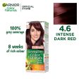 Garnier Color Naturals - 4.6 Burgundy Online Sale